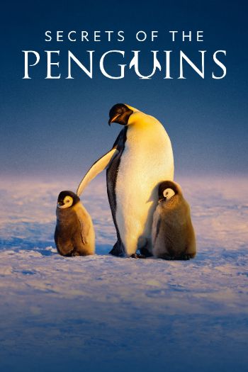 Secrets Of The Penguins