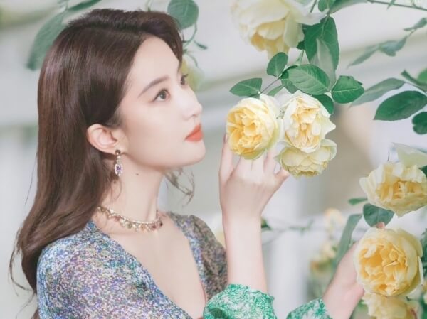 Câu Chuyện Của Hoa Hồng 