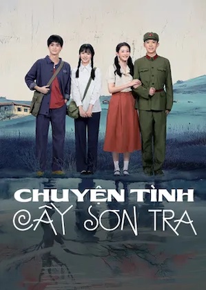 Chuyện Tình Cây Sơn Tra 