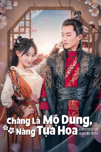 Chàng Là Mộ Dung, Nàng Tựa Hoa 
